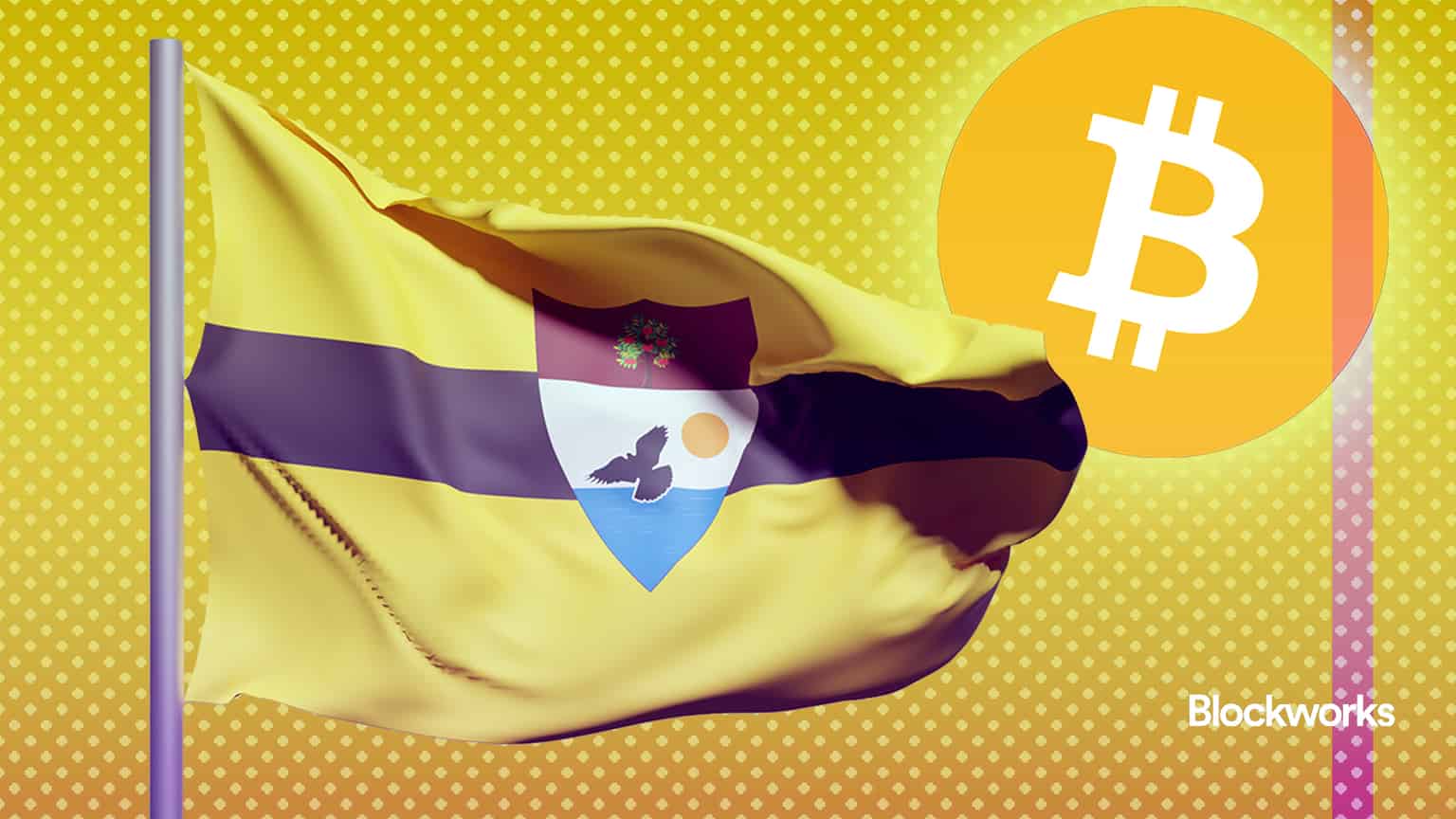 article-image